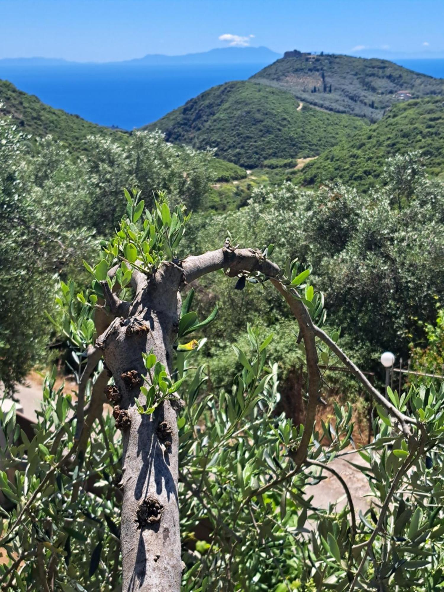 Sogno 2 Villa Parga Bagian luar foto